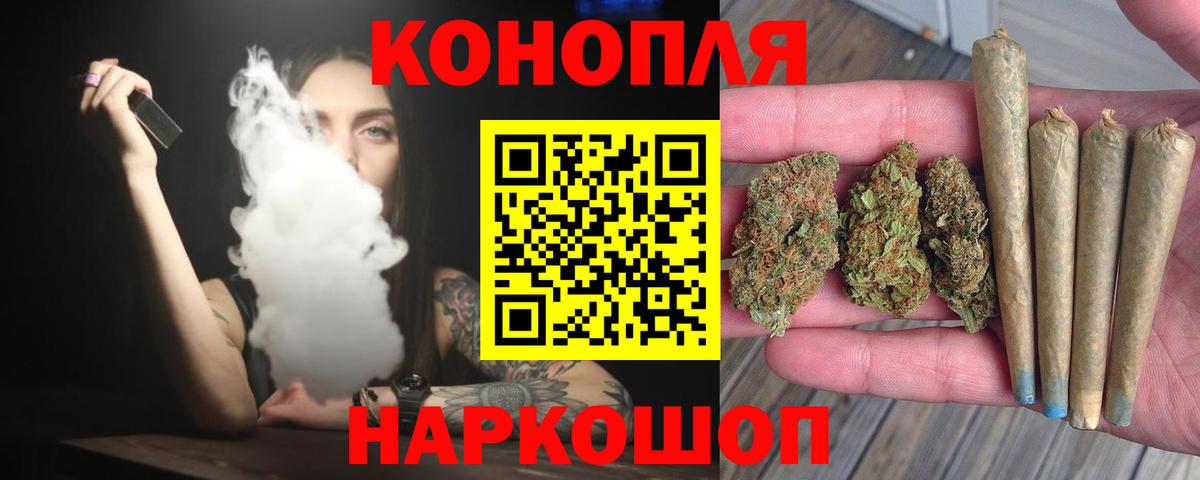 Марихуана планчик  Конопля конопля  Марихуана сатива  Вход с VPN  Лесной 